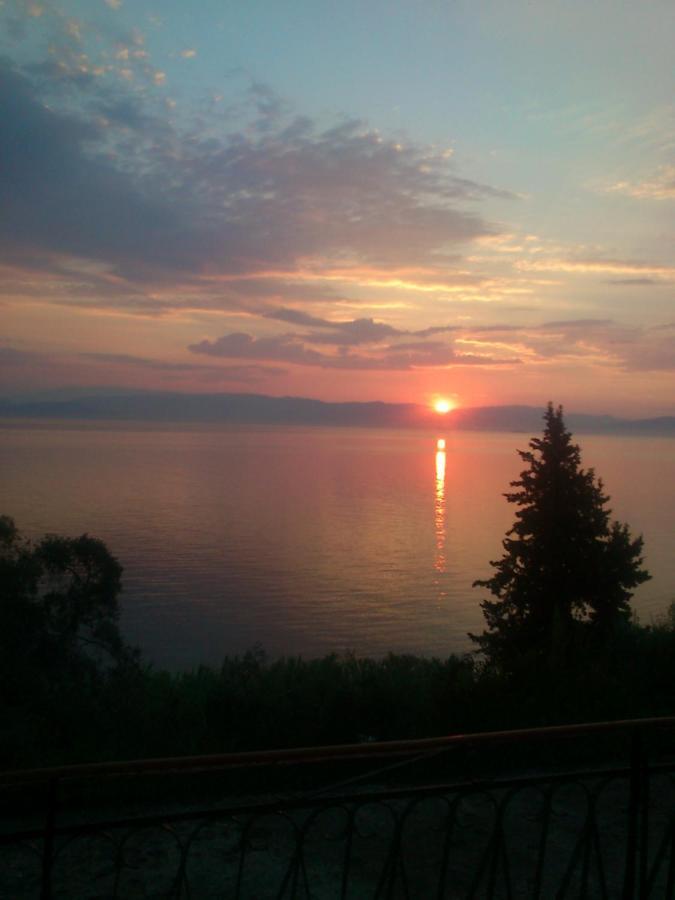 Corfu Bay Sea View Apartments 100M From The Beach ベニテス エクステリア 写真