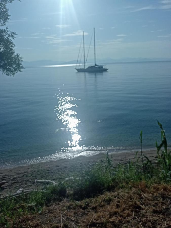 Corfu Bay Sea View Apartments 100M From The Beach ベニテス エクステリア 写真